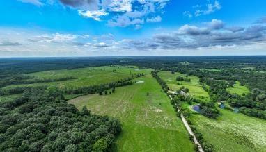 (R57191) Duke Road, Apple Springs, Texas image 12