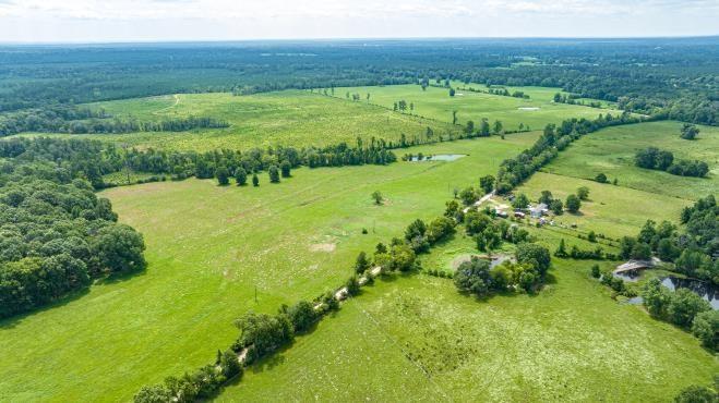 (R57191) Duke Road, Apple Springs, Texas image 10