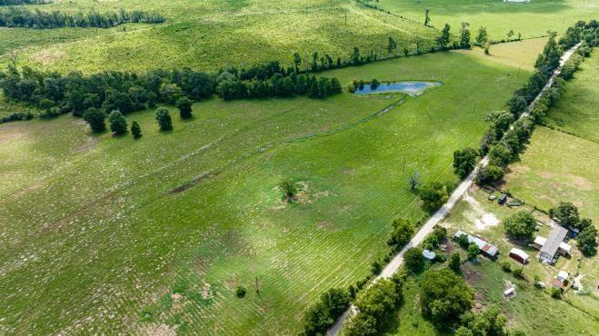 (R57191) Duke Road, Apple Springs, Texas image 8