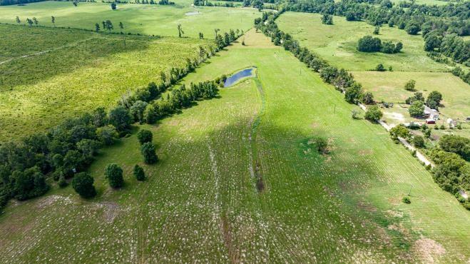 (R57191) Duke Road, Apple Springs, Texas image 7