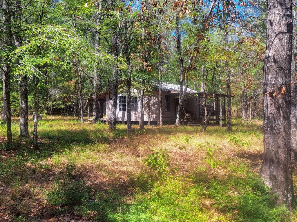 Tbd County Road 2834, Colmesneil, Texas image 5