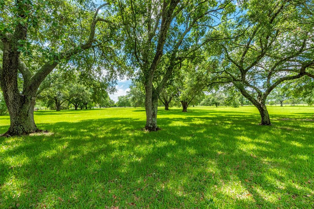 0000 Meadowlark Lane, League City, Texas image 6