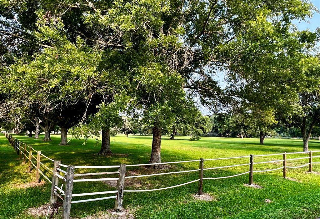 0000 Meadowlark Lane, League City, Texas image 8