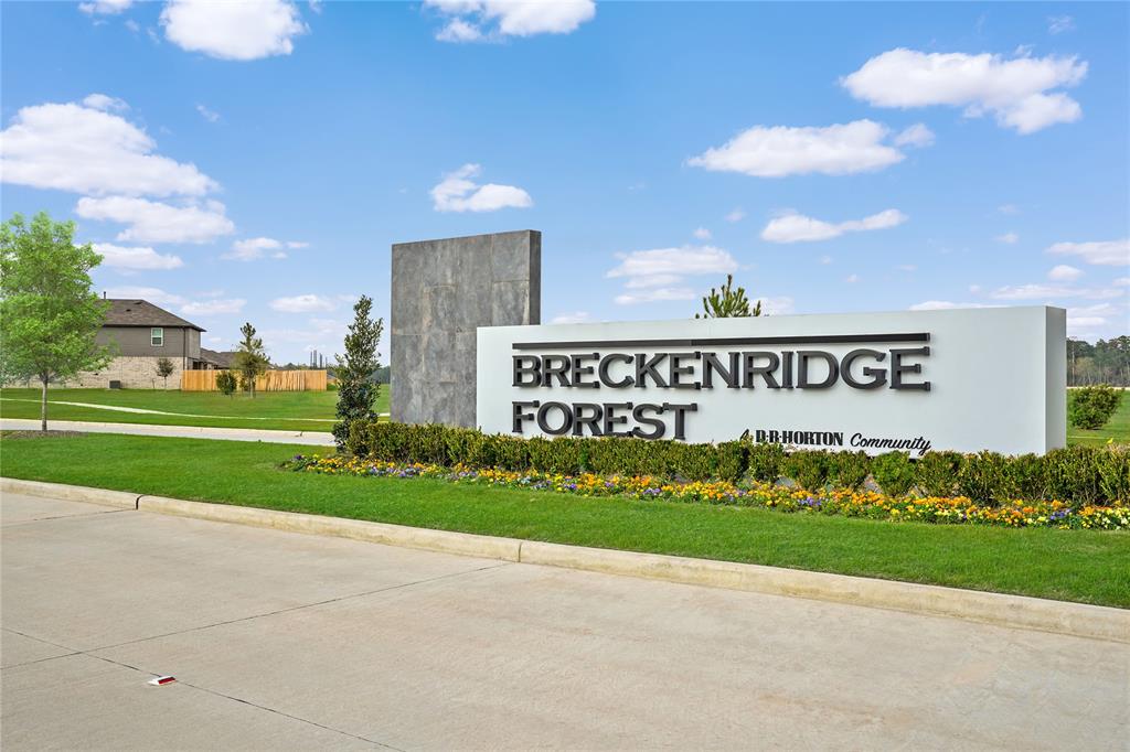 23906 Rambling Rose Court, Spring, Texas image 32