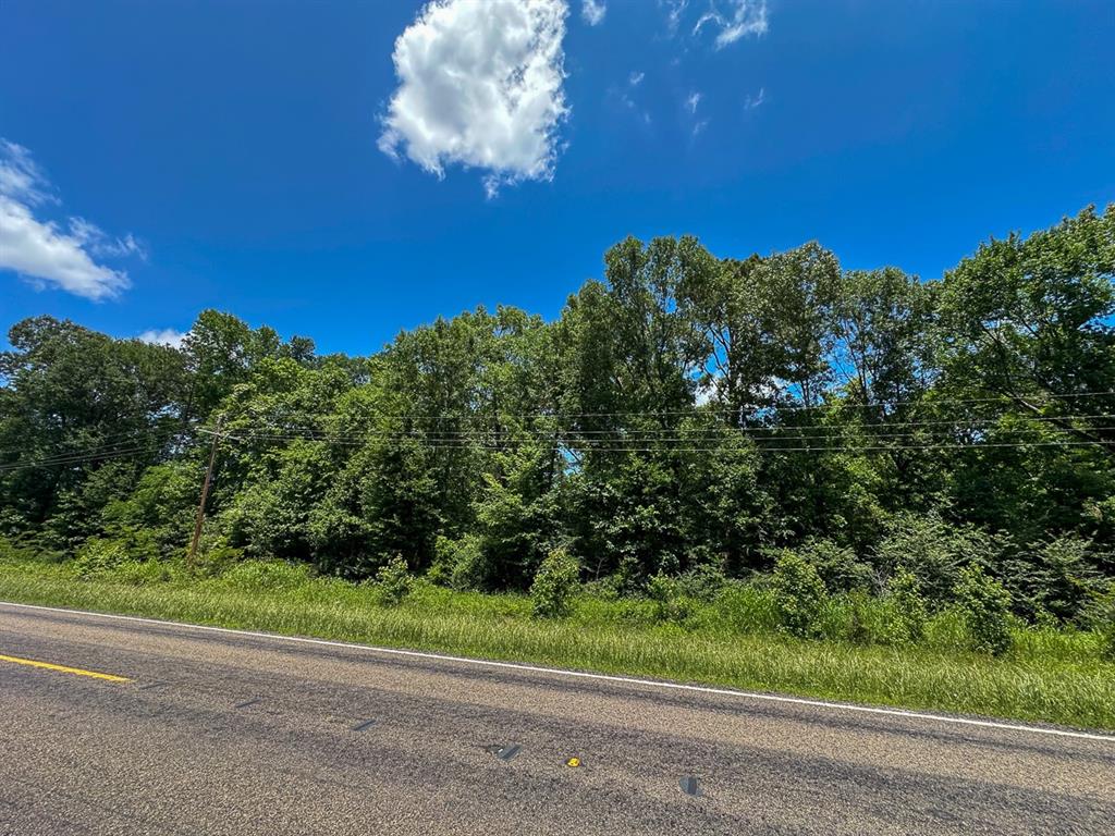 23 Highway 94, Groveton, Texas image 8