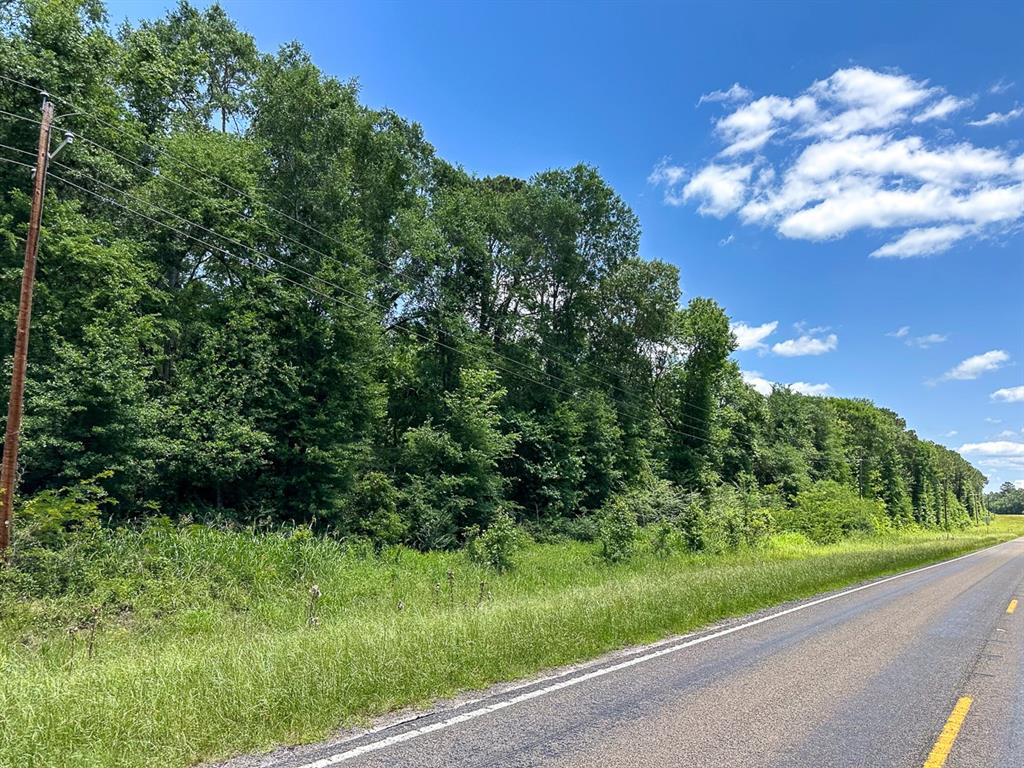 23 Highway 94, Groveton, Texas image 6
