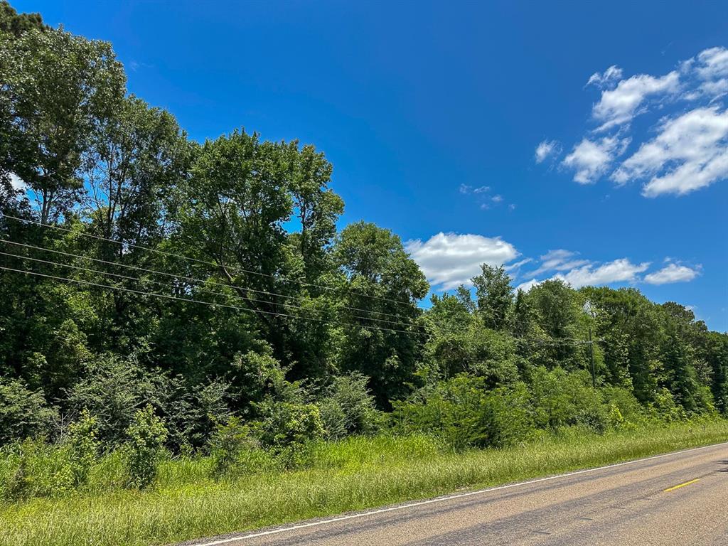23 Highway 94, Groveton, Texas image 9