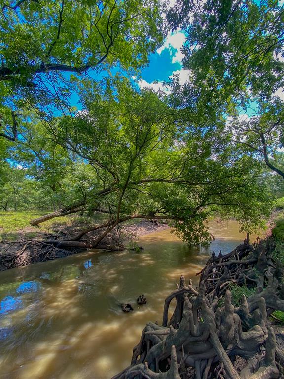 4951 Baldwin Drive, East Bernard, Texas image 39