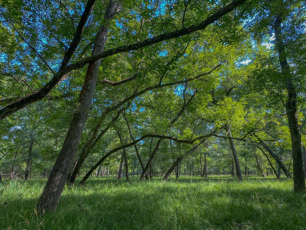 4951 Baldwin Drive, East Bernard, Texas image 32