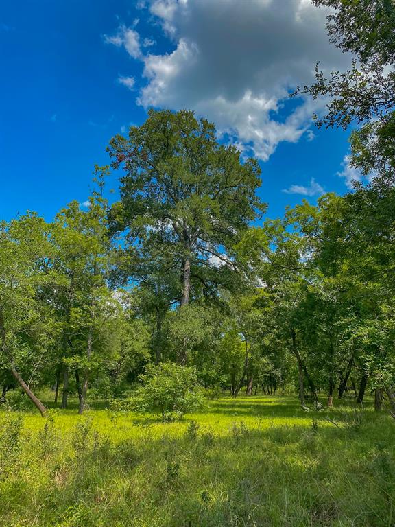 4951 Baldwin Drive, East Bernard, Texas image 27