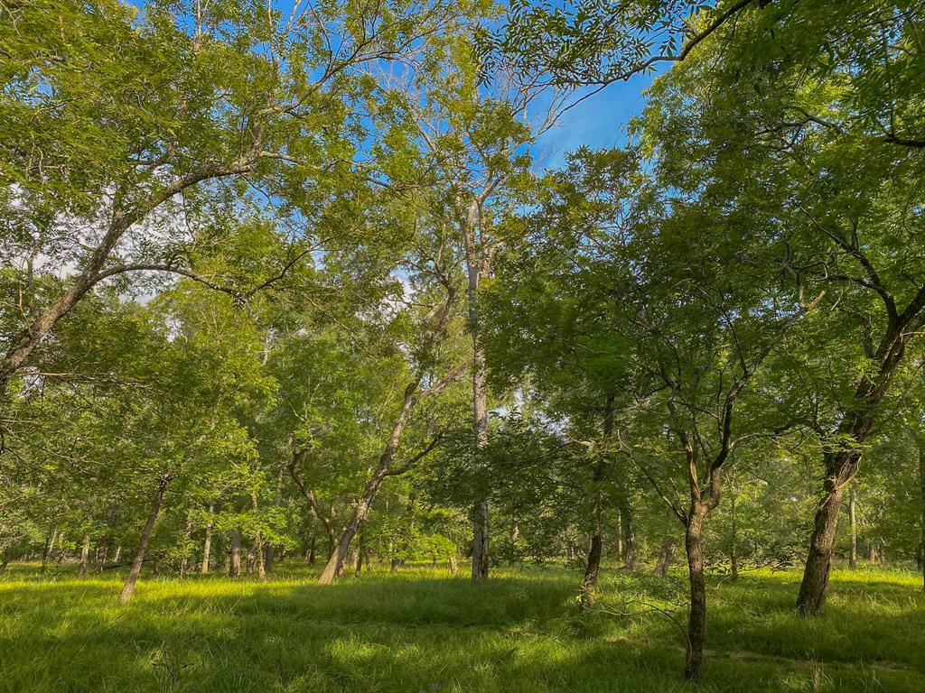 4951 Baldwin Drive, East Bernard, Texas image 28