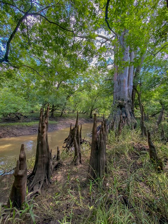 4951 Baldwin Drive, East Bernard, Texas image 40