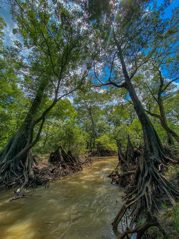 4951 Baldwin Drive, East Bernard, Texas image 38