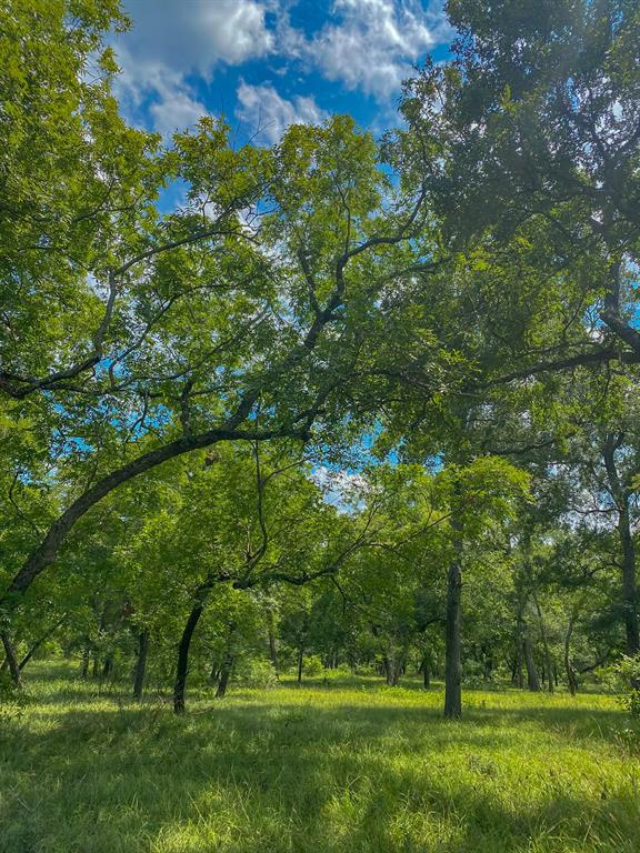 4951 Baldwin Drive, East Bernard, Texas image 30