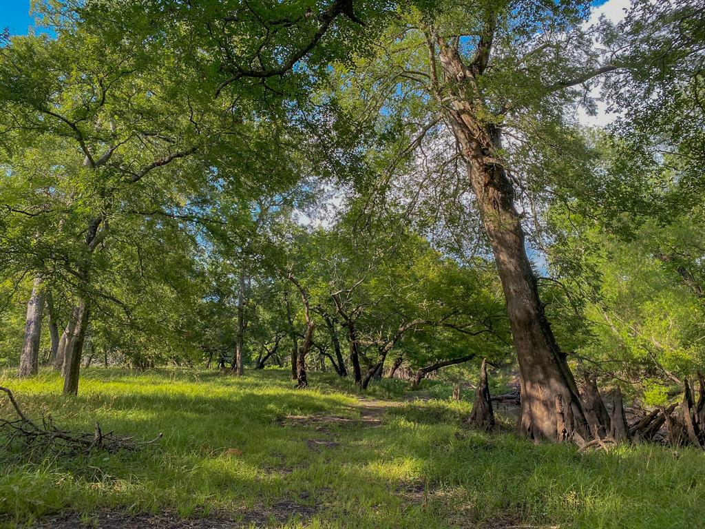 4951 Baldwin Drive, East Bernard, Texas image 34