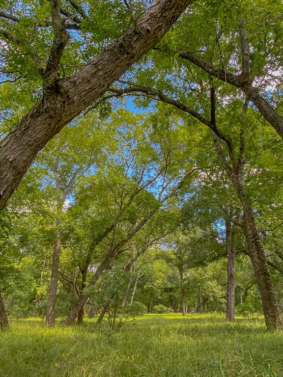 4951 Baldwin Drive, East Bernard, Texas image 29