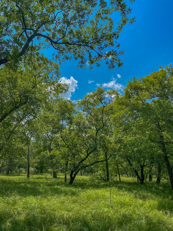 4951 Baldwin Drive, East Bernard, Texas image 26