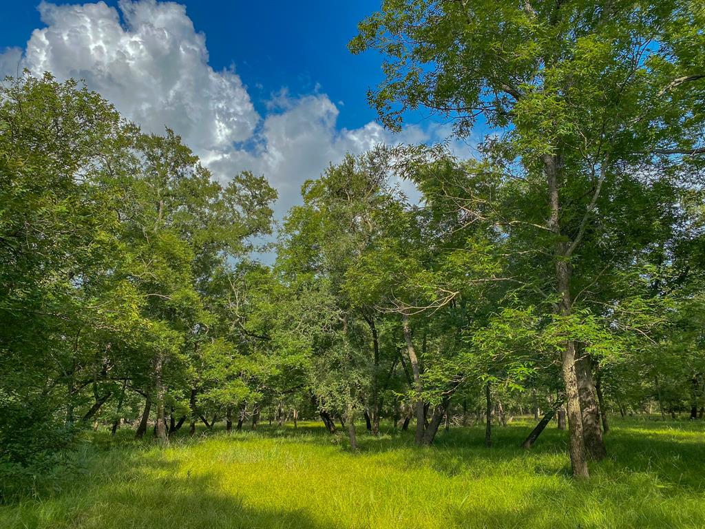 4951 Baldwin Drive, East Bernard, Texas image 31