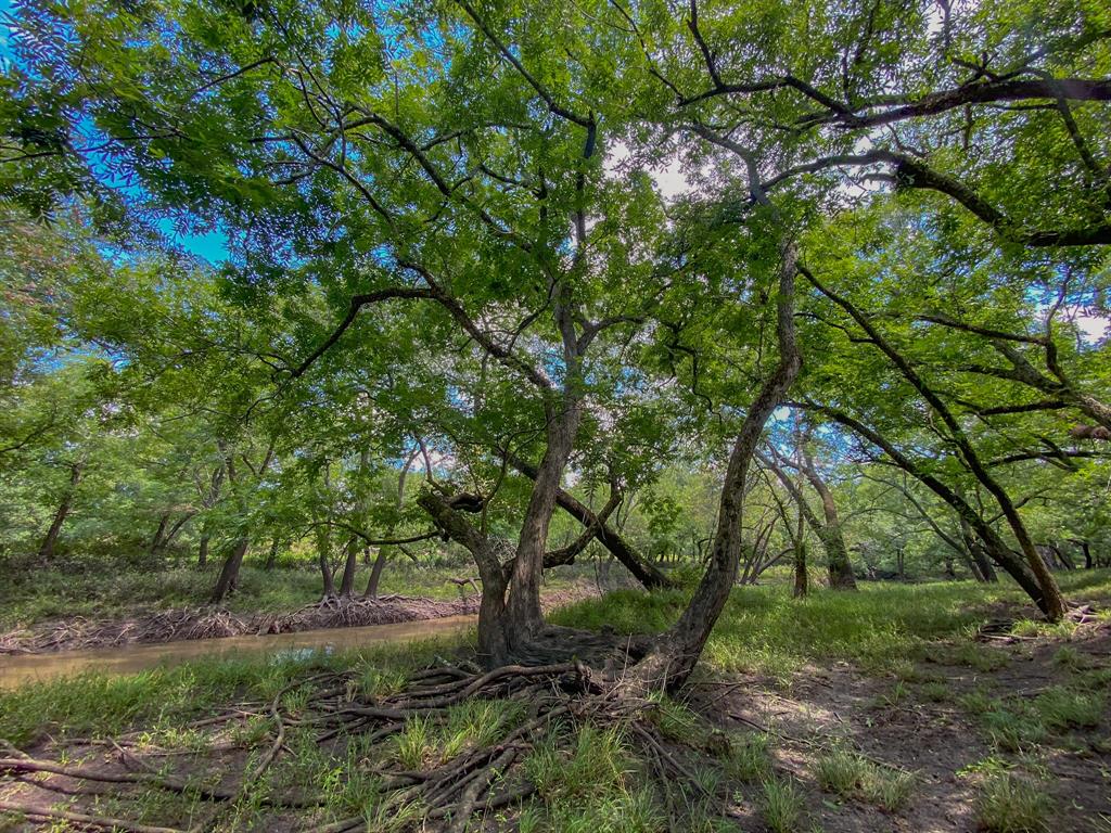 4951 Baldwin Drive, East Bernard, Texas image 35