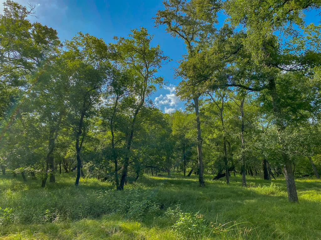 4951 Baldwin Drive, East Bernard, Texas image 33