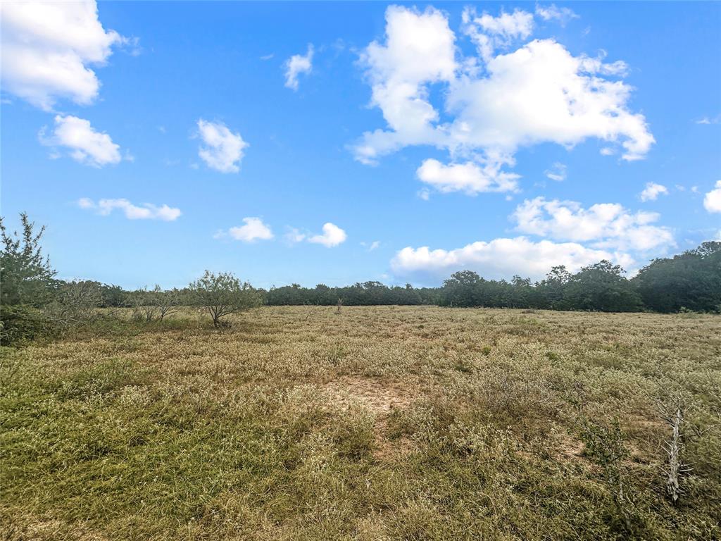 17+/- Acres Davis Road, Muldoon, Texas image 5