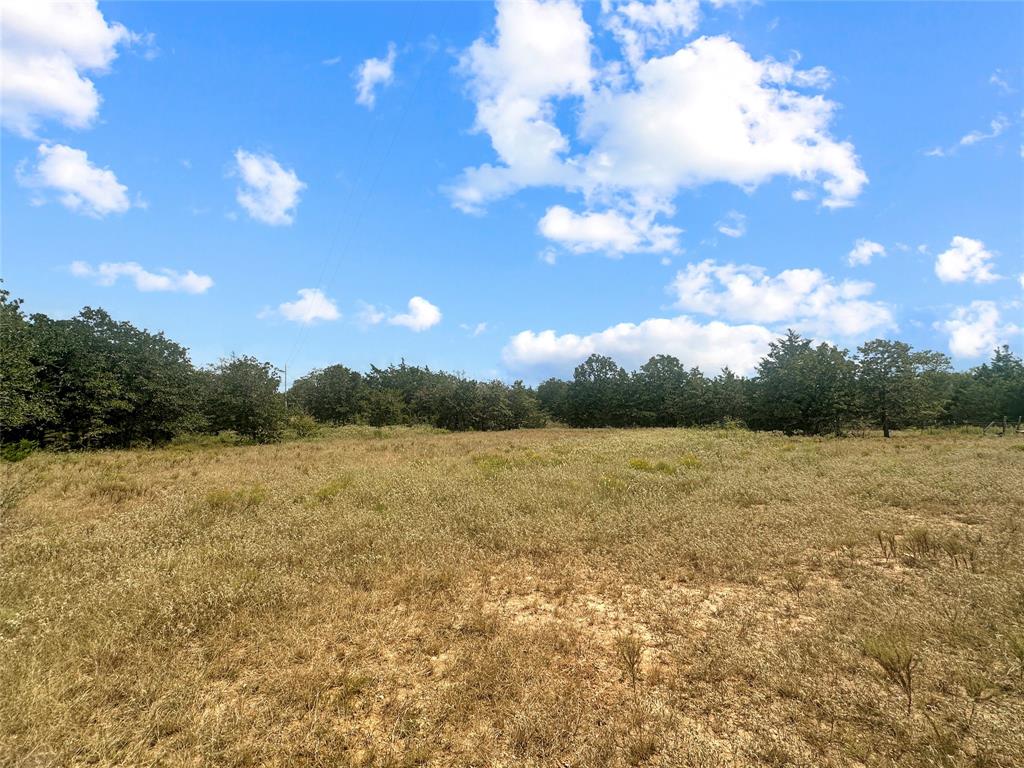 17+/- Acres Davis Road, Muldoon, Texas image 3