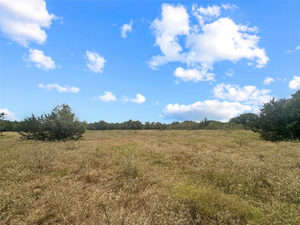 17+/- Acres Davis Road, Muldoon, Texas image 4