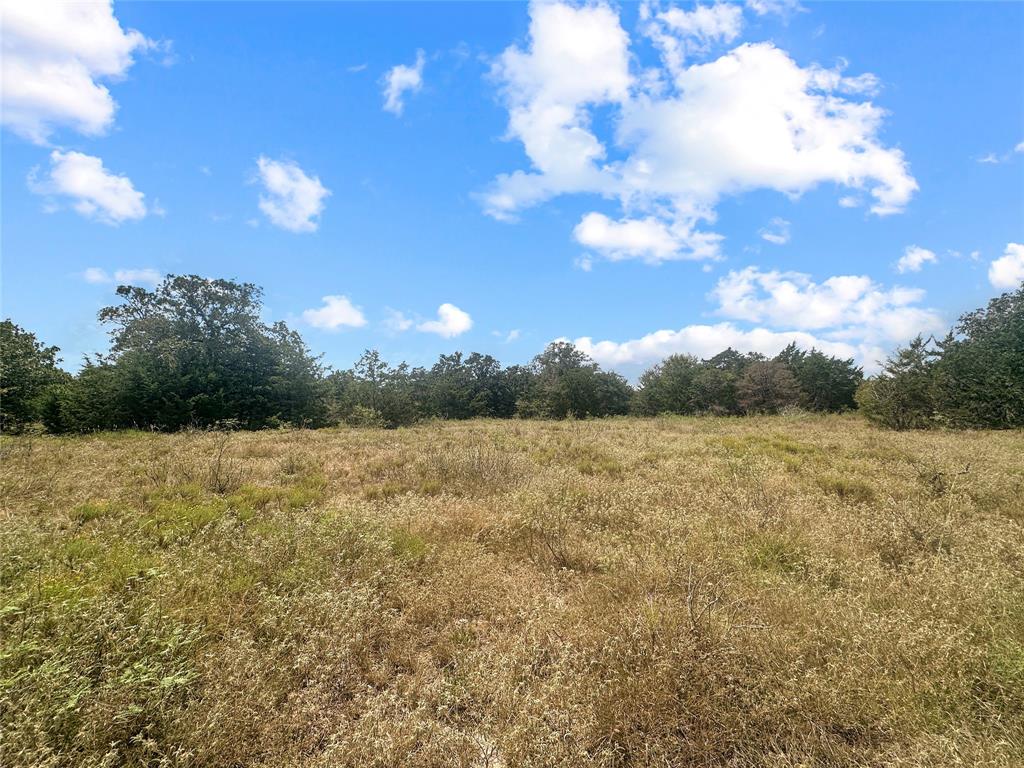 17+/- Acres Davis Road, Muldoon, Texas image 2