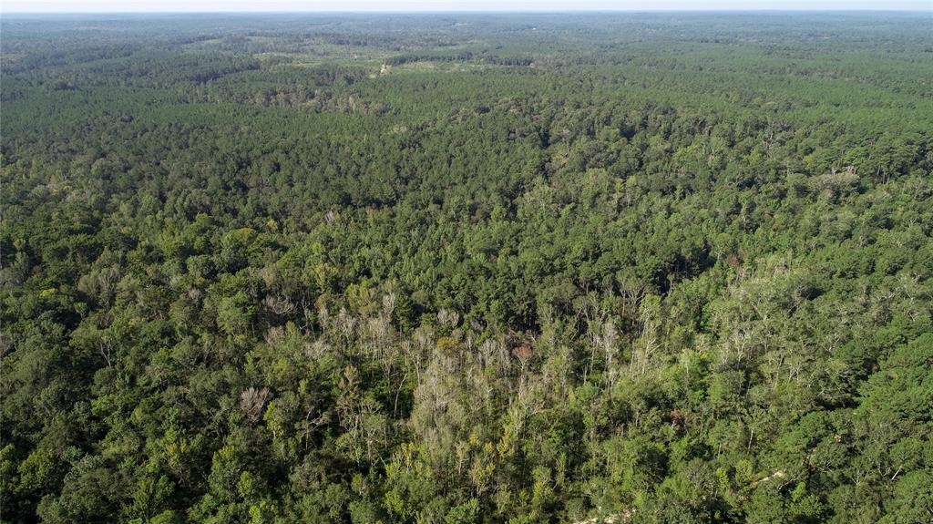 TBD County Rd 2082, Burkeville, Texas image 17