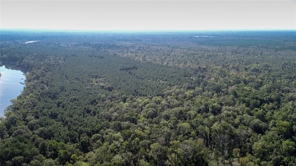 TBD County Rd 2082, Burkeville, Texas image 7