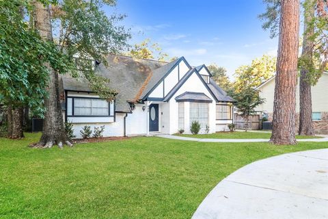 A home in Conroe