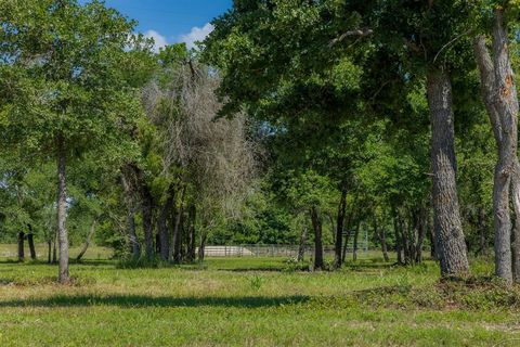 Photo of 6705 Atakapan Trail, Bedias, TX 77831 (MLS # 87941904)