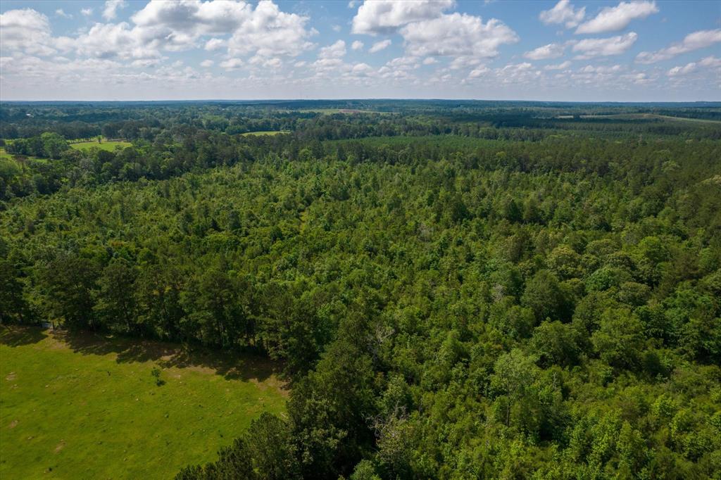 Fm 1632, Woodville, Texas image 9