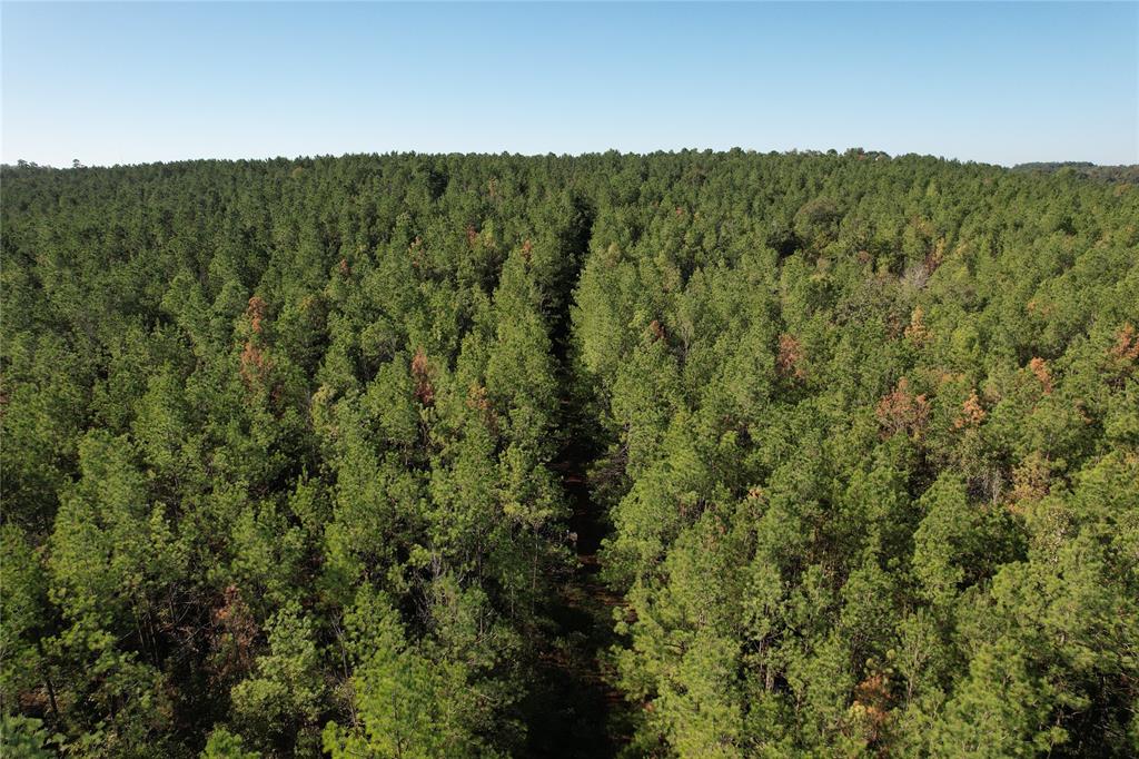 TBD Fenley Flat Road, Lufkin, Texas image 5