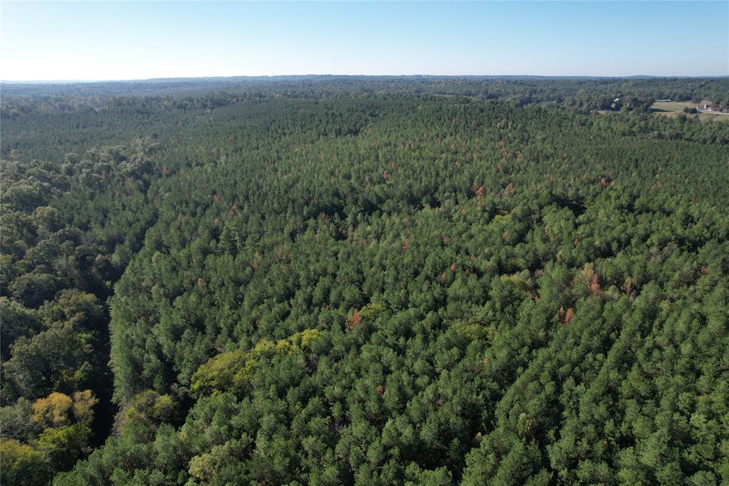 TBD Fenley Flat Road, Lufkin, Texas image 2