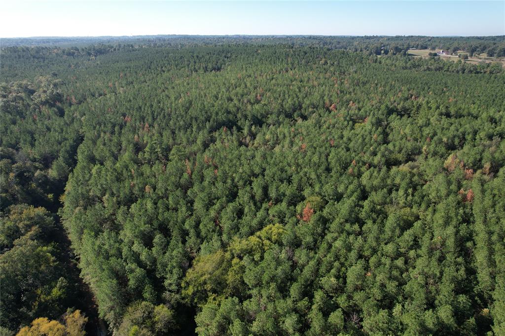 TBD Fenley Flat Road, Lufkin, Texas image 4