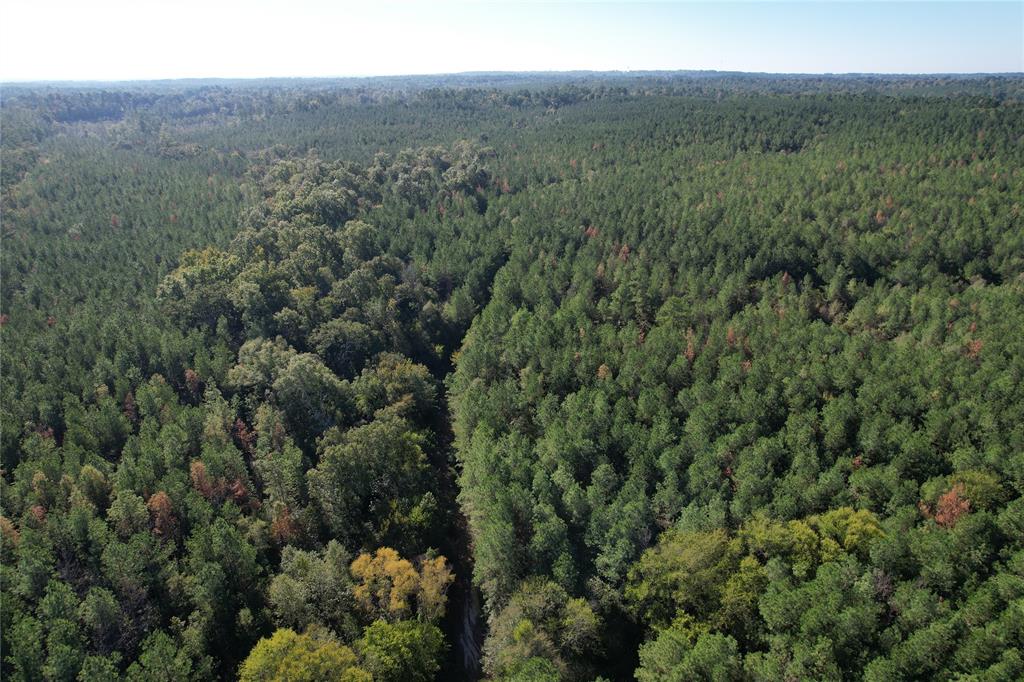 TBD Fenley Flat Road, Lufkin, Texas image 3