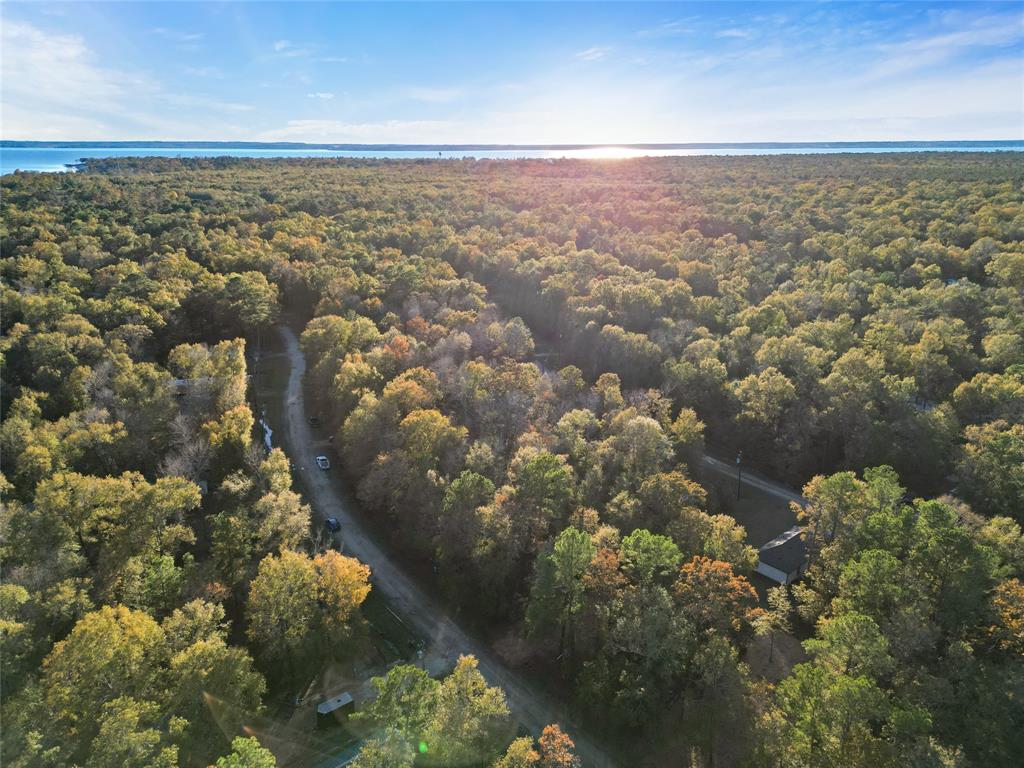 TBD Knottypine, Livingston, Texas image 9