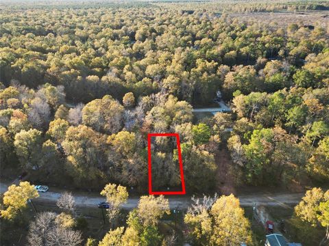 Photo of TBD Knottypine, Livingston, TX 77351 (MLS # 19525401)