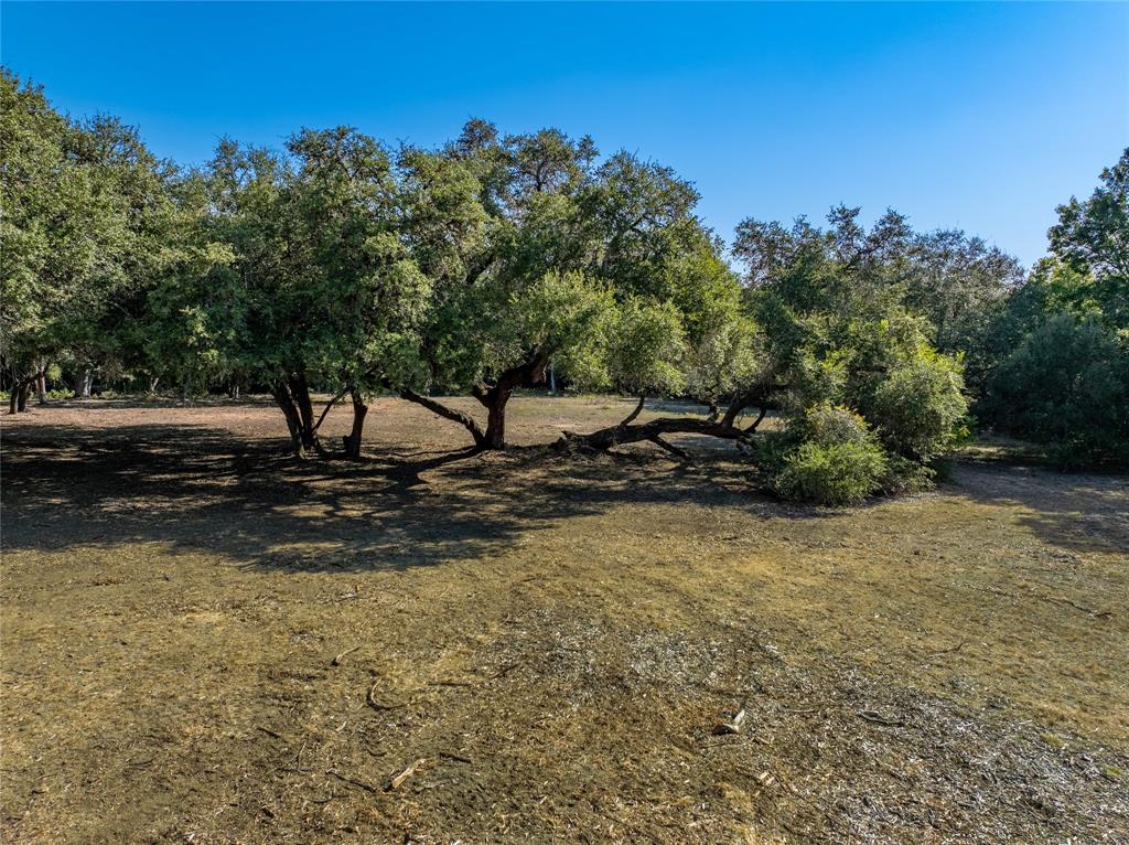 505 N Live Oak Street