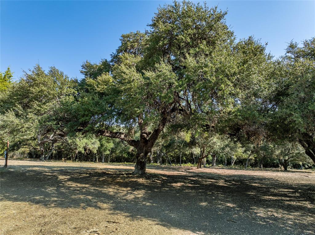 505 N Live Oak Street