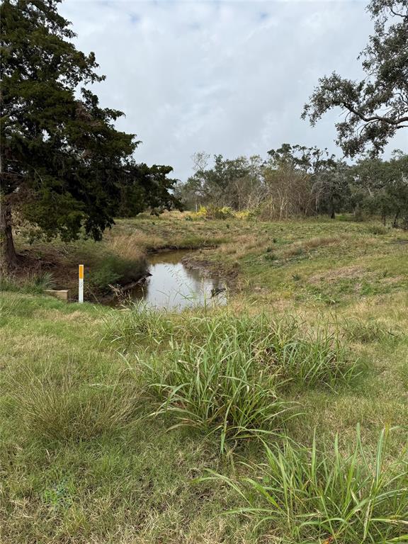 5031 County Road 819, Brazoria, Texas image 11