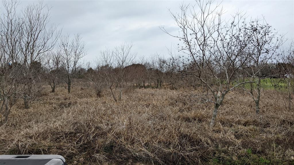 Bobwhite Street, Brookshire, Texas image 4