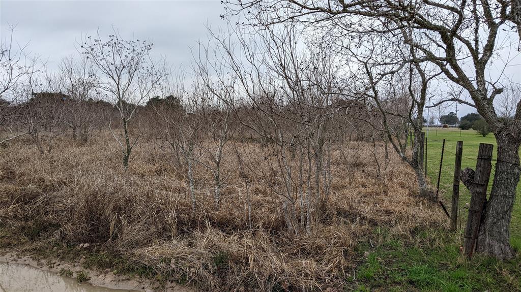 Bobwhite Street, Brookshire, Texas image 3