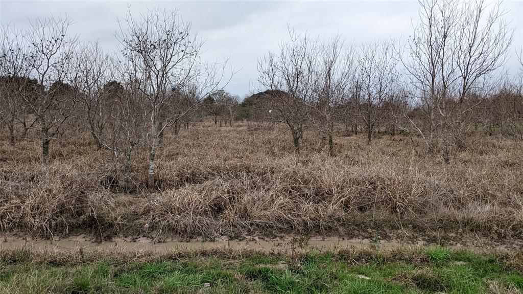 Bobwhite Street, Brookshire, Texas image 5