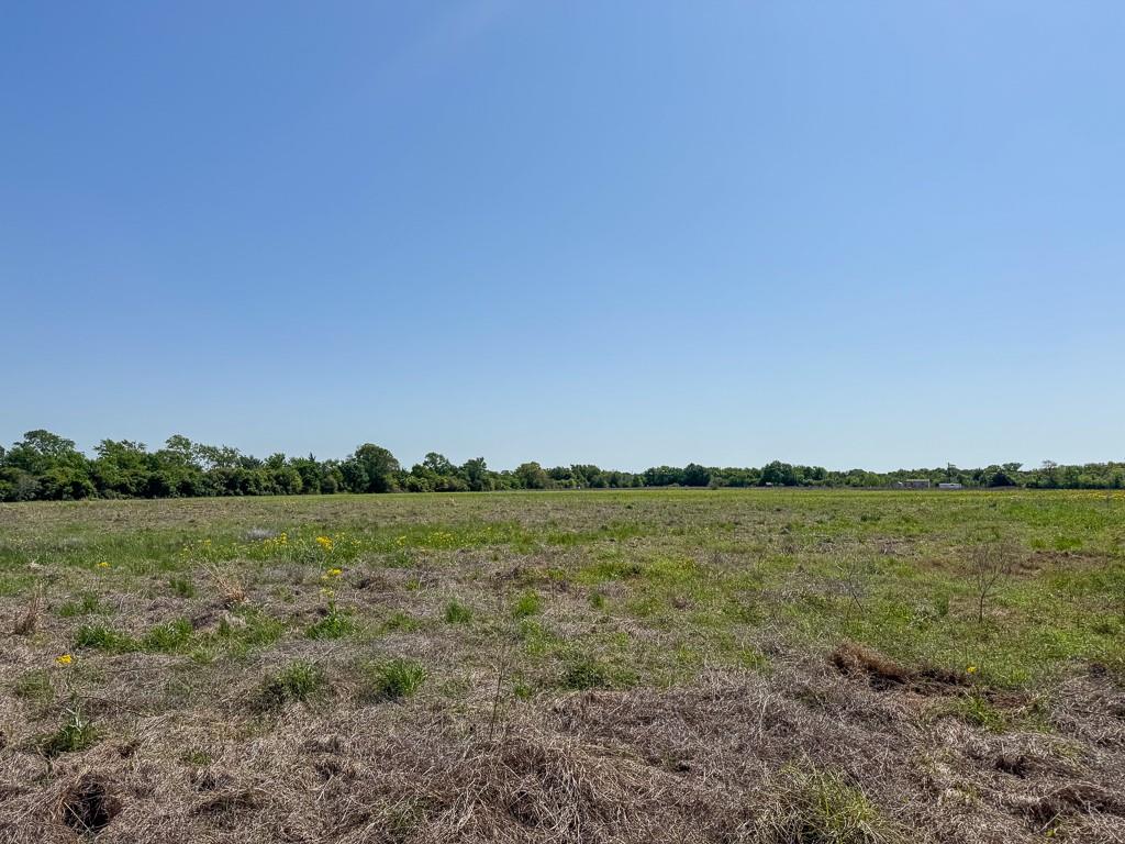 Tract # 2 County Road 123, Iola, Texas image 2