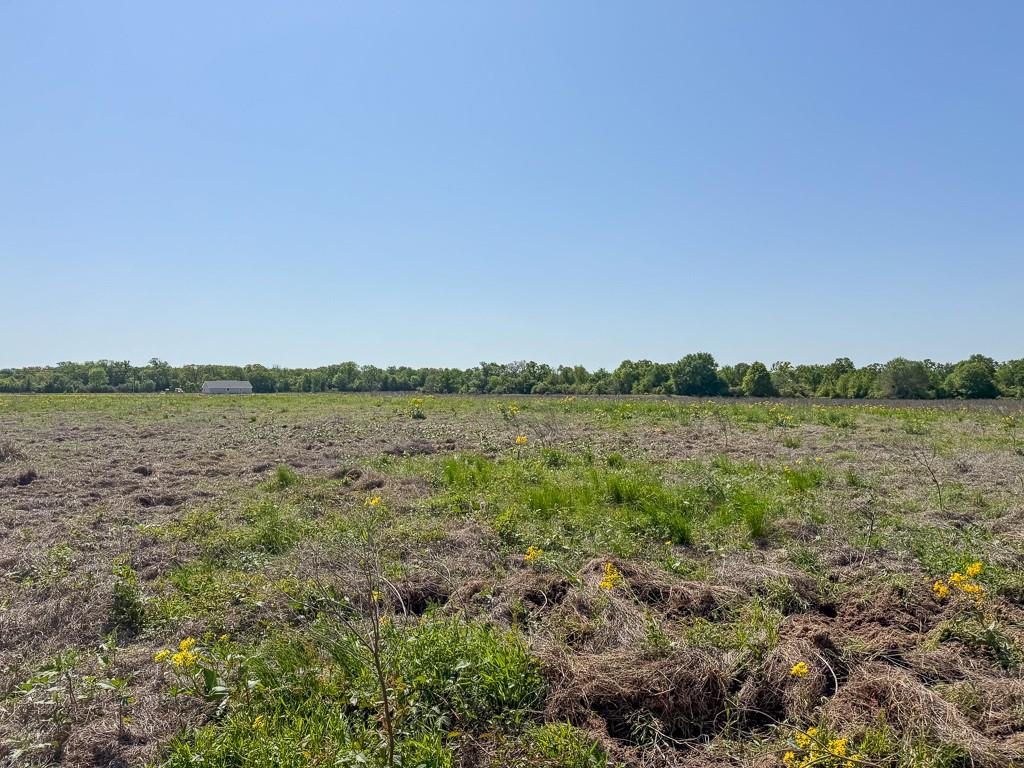 Tract # 2 County Road 123, Iola, Texas image 6