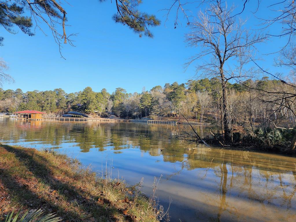 Tbd Longpoint Drive, Livingston, Texas image 1