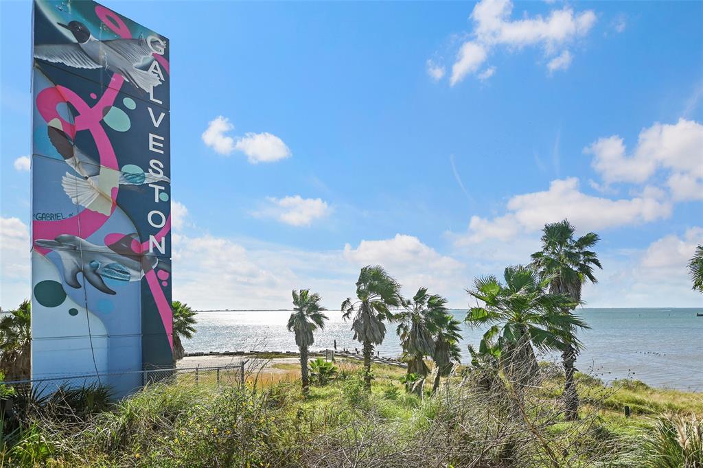 6300 Seawall Boulevard #8201, Galveston, Texas image 2