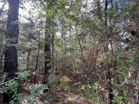 Photo of 0 Vantage Dr, Brookeland, TX 75931 (MLS # 78995279)